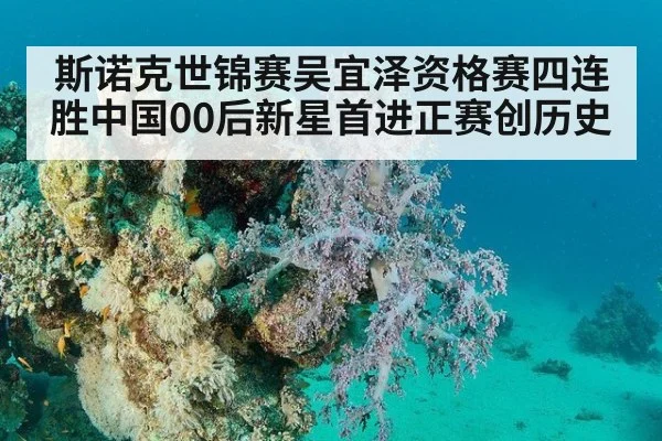 斯诺克世锦赛吴宜泽资格赛四连胜中国00后新星首进正赛创历史